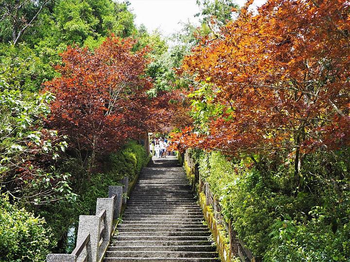 Yilan Taipingshan Forest Day Trip | Bounce Car, Sunshine Trail, Jiuzhize Hot Springs