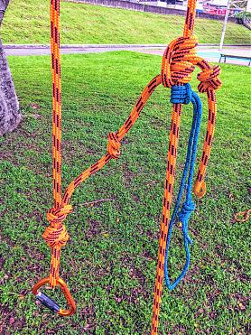 Taipei Xiaonangang Trail Tree Climbing Experience | Recommended Group Outdoor Activities