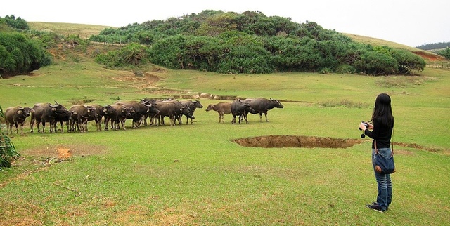 Kenting South Cape Pilgrimage | Explore Sheding Park's prairie, windblown sand, and high coral reefs