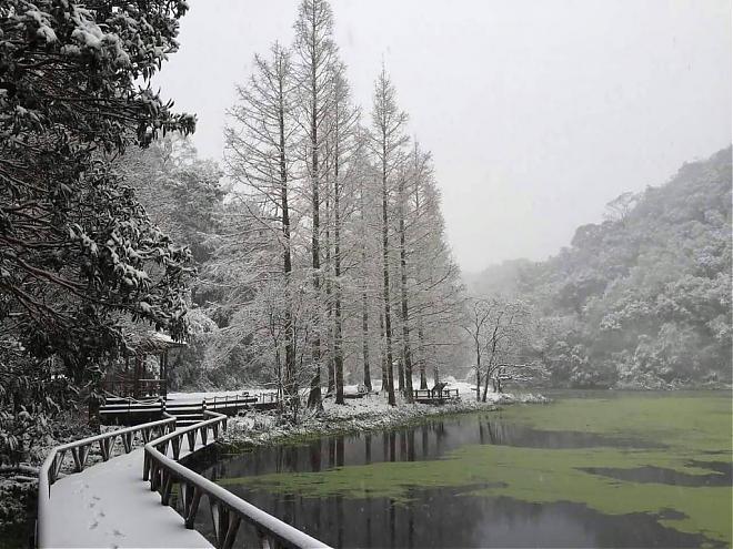 A day trip to Yilan Fushan Botanical Garden. Explore the natural world in depth