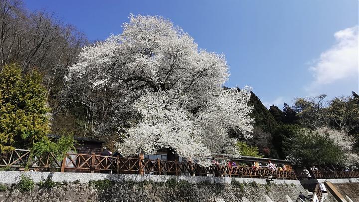Hsinchu Shei-Pa National Park: A Day Trip to Guanwu Trail and Breathe in the Forest