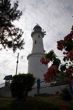 Kuala Selangor Firefly, Goddess Hindu Temple, and Royal Hill Chartered Car Day Tour (Afternoon Departure)