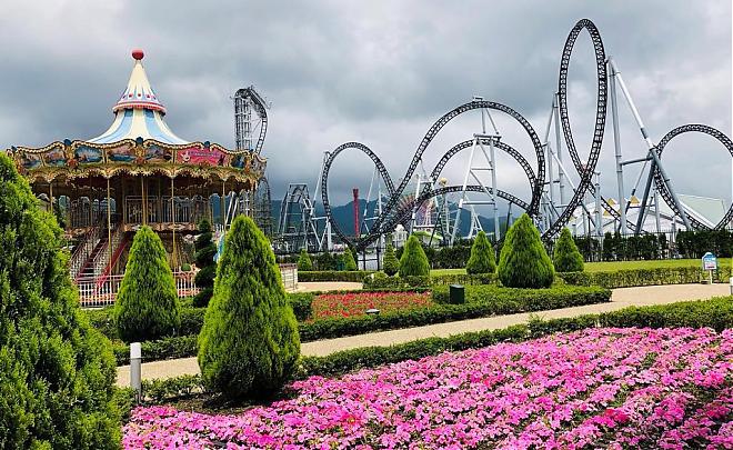 Fuji-Q Highland and Lake Kawaguchiko Matcha Day Trip