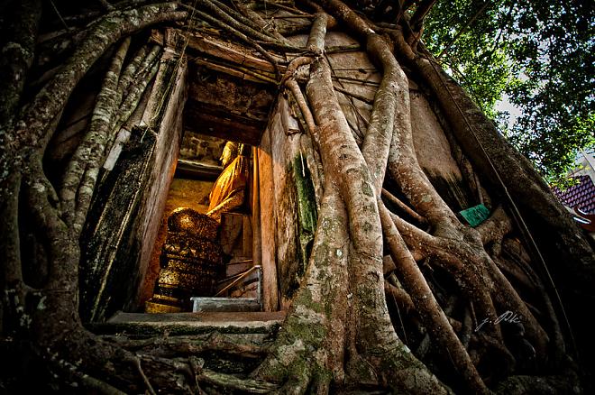Bangkok, Thailand | Amphawa Afternoon Tea and Double Floating Market Day Tour