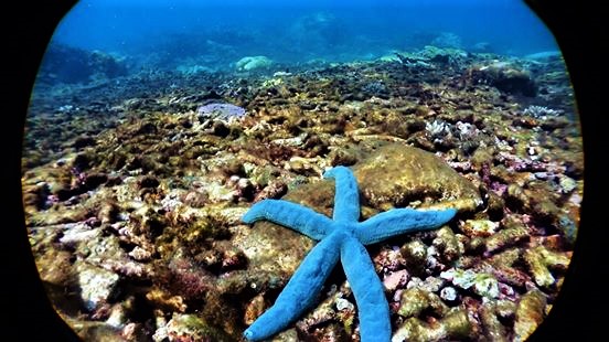 Penghu Seven Beauties Day Trip | Choose 1 of Snorkeling or Canoeing | Island Motorcycle Tour