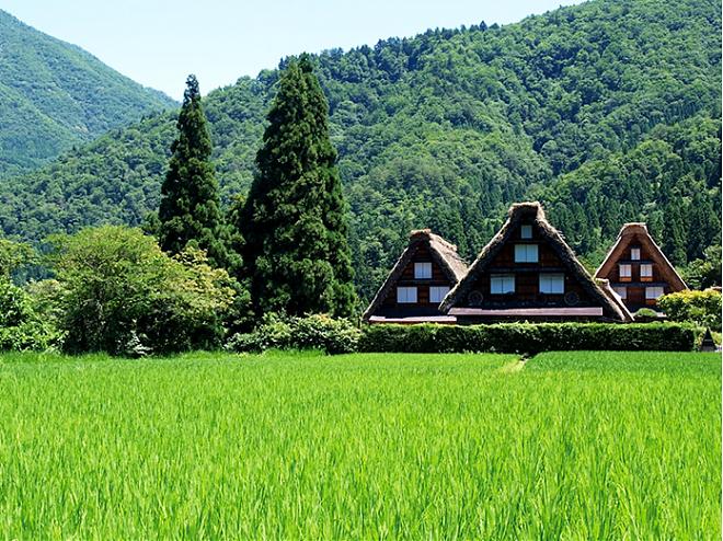 JR Takayama-Hokuriku Area Tourist Pass