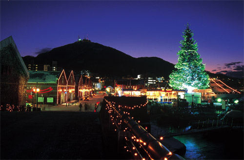 JR East South Hokkaido Rail Pass (Flexible Ticket, select 6 days within 14 days)