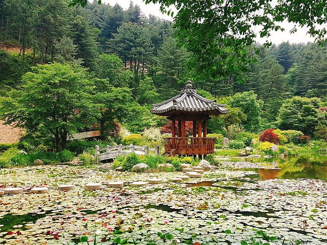 [Minimum 2 people/Depart from Seoul] Fairytale Swiss Village, Gangchon Rail Bike, and Garden of Morning Calm Day Trip