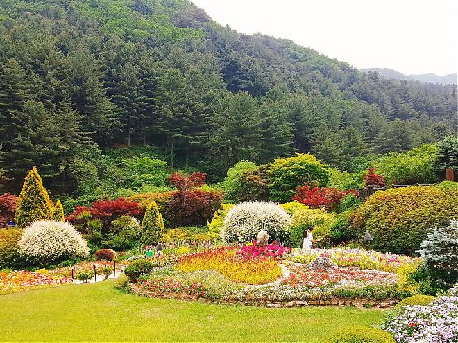[Minimum 2 people/Depart from Seoul] Fairytale Swiss Village, Gangchon Rail Bike, and Garden of Morning Calm Day Trip