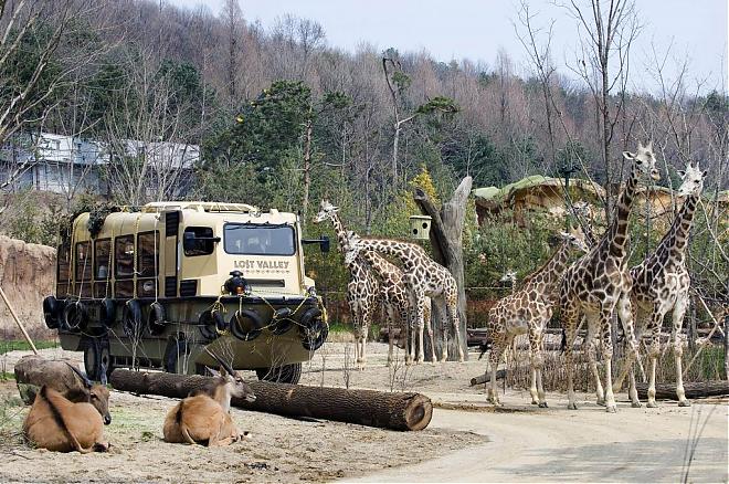 Everland Korea 1-Day E-Ticket