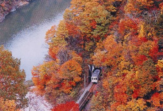 [Top 100 Japanese Villages] A Secret Journey to a Remote Mountain Village