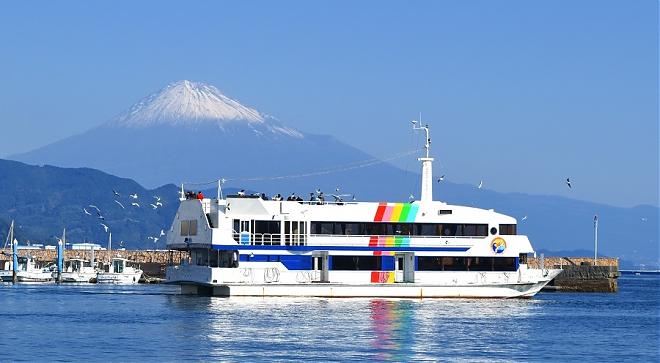 A Day Cruise to View Mount Fuji and Pick Strawberries (Depart from Nagoya)