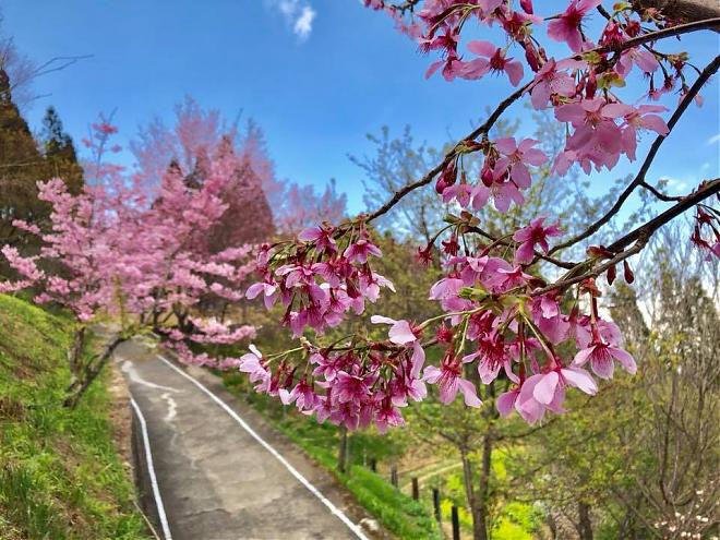 Two-Day Trip to Shei-Pa Guanwu National Park in Hsinchu | One Night, Four Meals, Afternoon Tea and DIY