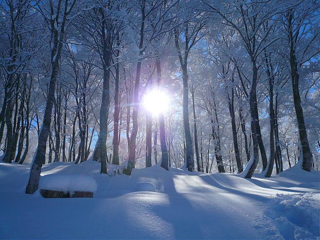 Hakuba Ski Fun: Private Instructor Exclusive Lesson (Half Day)