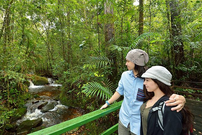 【Malaysia】Mount Kinabalu Park and Poring Hot Springs