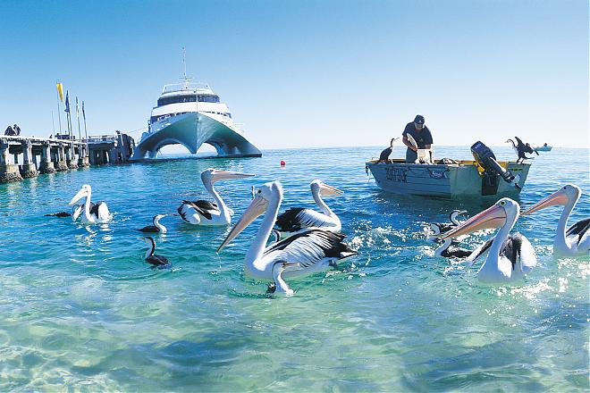 【Queensland】Tangalooma Island Resort