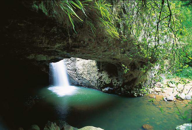 Queensland Blue Light Worm Night Tour | Depart from Gold Coast (Chinese and English Guide)