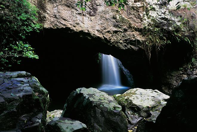 Queensland Blue Light Worm Night Tour | Depart from Gold Coast (Chinese and English Guide)