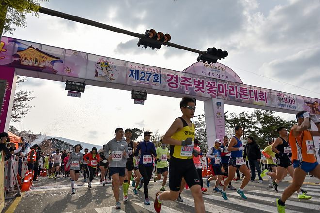 Departing from Busan | Participation in the 32nd Gyeongju Sakura Marathon in 2025