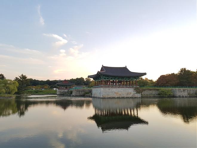 Departing from Busan | Participation in the 32nd Gyeongju Sakura Marathon in 2025