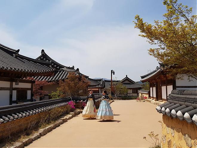 Departing from Busan | Participation in the 32nd Gyeongju Sakura Marathon in 2025