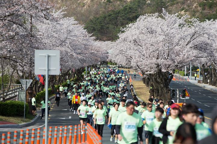 Departing from Busan | Participation in the 32nd Gyeongju Sakura Marathon in 2025