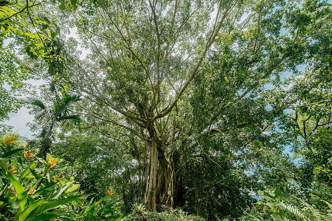 Make friends with the Hualien Mayuan Tribe | Listen to the melodious pestle sounds and explore the tribe's new secrets