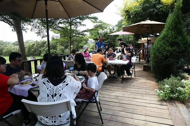Experience the Xinwu Stone Fishing Village in Taoyuan: A Century-Old Stone Fishing Village Ecological Tour and Traditional Fishing Rice