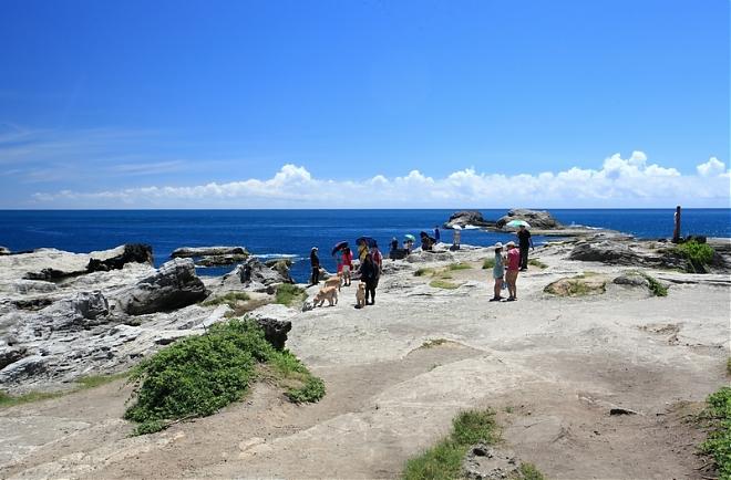 Hualien Shitiping Coastal Day Tour | World-Class Landscapes, Dreamy Sea Terraces, and Glass Walkway