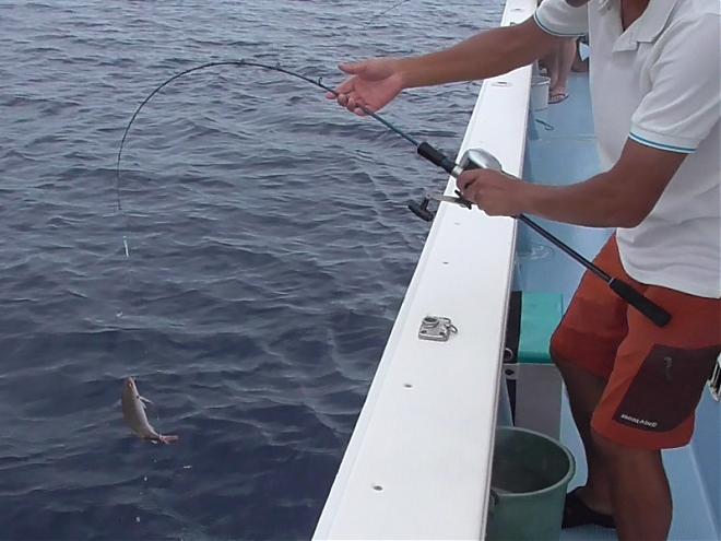 Depart from Naha | Half-Day Okinawa Fishing Experience (Morning/Afternoon)