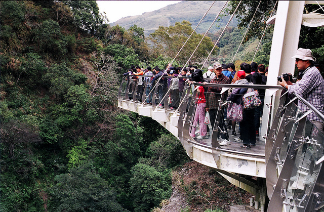 [Seasonal Limited] Taoyuan Xiaowulai Skywalk and Peach Tasting Tour