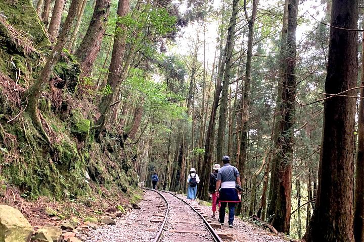 2025 Spring Festival Exclusive | Alishan Tefuye Historic Trail & Dongpu Beauty Hot Springs Two-Day Tour