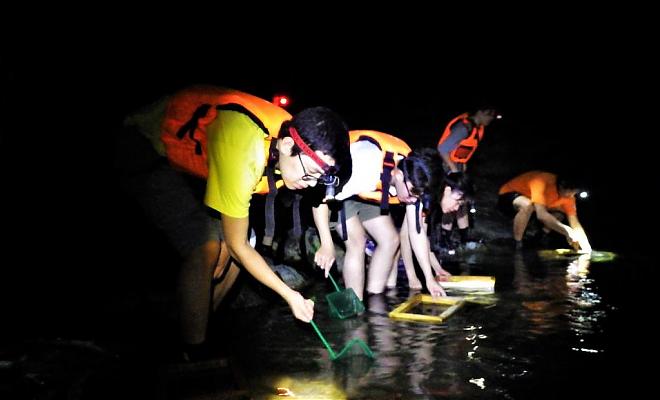 Taitung Nighttime River Shrimp Catching Experience | Streamside Ecological Exploration + Shrimp Cooking