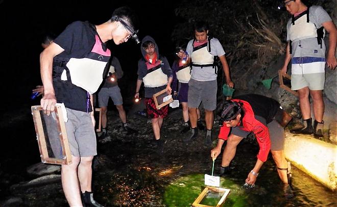 Taitung Nighttime River Shrimp Catching Experience | Streamside Ecological Exploration + Shrimp Cooking
