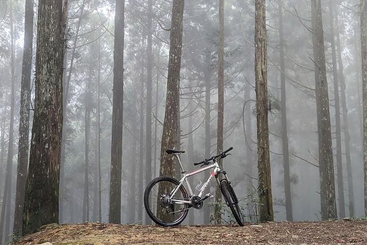 Hsinchu Luoshan Forest Trail Cycling & Private Chef Camping Tour | Gear-Free Camping