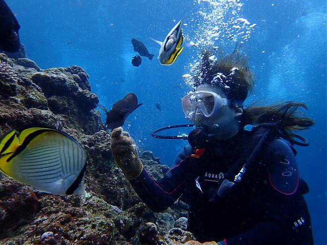 Departing from Naha and Chatan | Snorkeling and Diving in the Blue Cave (Recommended for Families/Direct Boat Access to the Dive Site)
