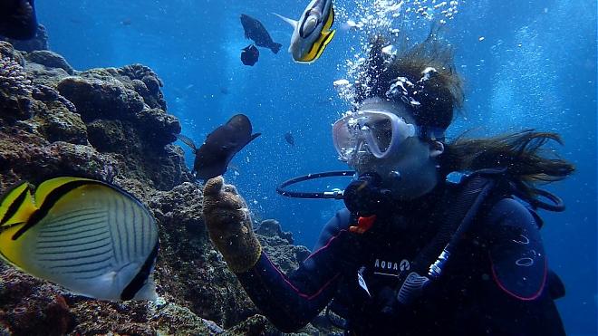 Departing from Naha and Chatan | Snorkeling and Diving in the Blue Cave (Recommended for Families/Direct Boat Access to the Dive Site)