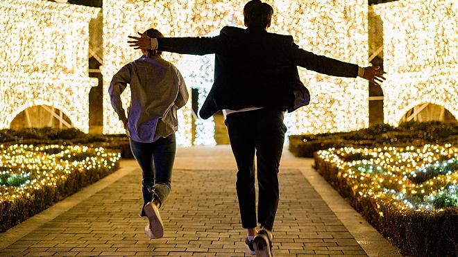 (From Seoul) Day Tour to Korea's First Sky Cafe, Romantic Starlight Garden, and Mini Pig World