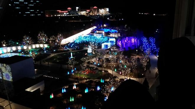 (From Seoul) Day Tour to Korea's First Sky Cafe, Romantic Starlight Garden, and Mini Pig World