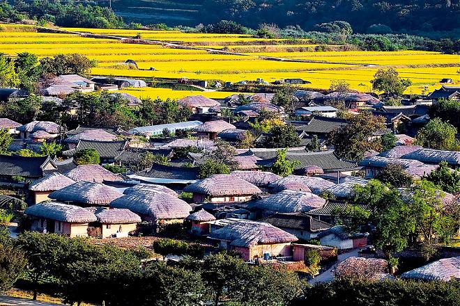 A Romantic Two-Day Tour of the Classical Style and Scenic Beauty of Andong Hahoe Folk Village, a World Heritage Site in Seoul (From Seoul) [K-Travel Bus]