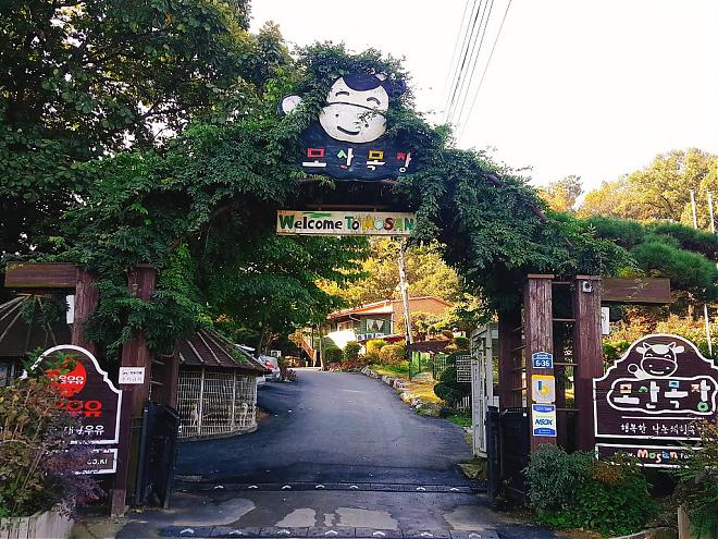 [Paju Photo Spot Day Tour] Calf Farm Handicraft Experience + Paju Premium Outlet Day Trip