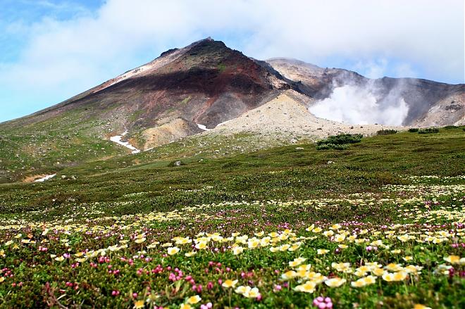 Hokkaido Daisetsuzan Asahidake Ropeway (One-Way/Round Trip) [Discount Coupon]