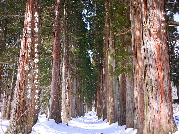 From Tokyo | Nagano Day Tour (Snow Monkey Hot Springs, Togakushi Shrine, and Iiyama Snow Lodge)