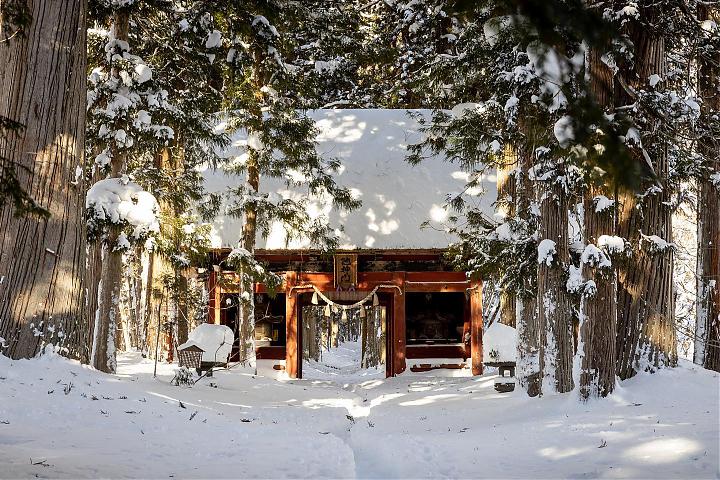 From Tokyo | Nagano Day Tour (Snow Monkey Hot Springs, Togakushi Shrine, and Iiyama Snow Lodge)