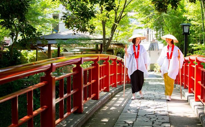 Departing from Shinjuku | 2025 Shizuoka Izu Kawazu Cherry Blossom and Strawberry Picking Day Tour (Meals Included | Chinese Service)
