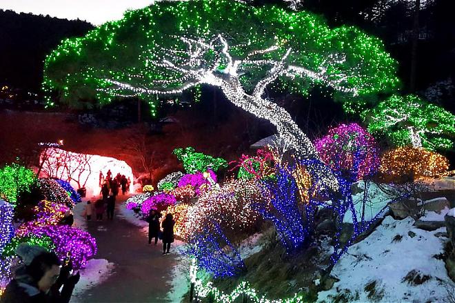 2020 Korea Garden of Morning Calm Light Festival Day Trip | Snow Pouch Experience & Organic Strawberries
