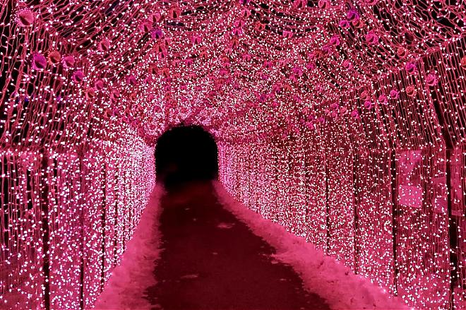 2020 Korea Garden of Morning Calm Light Festival Day Trip | Snow Pouch Experience & Organic Strawberries