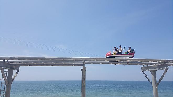 2020 Taean Tulip Festival Day Tour (Depart from Seoul)