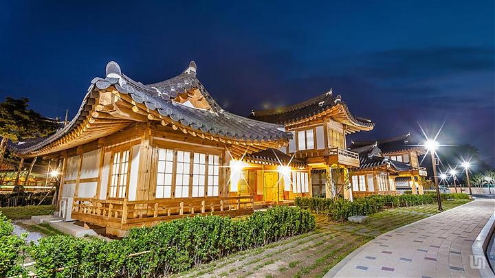 Depart from Seoul | 2025 Gangneung Gyeongpodai Cherry Blossom Festival Day Tour to Korean Drama Filming Locations