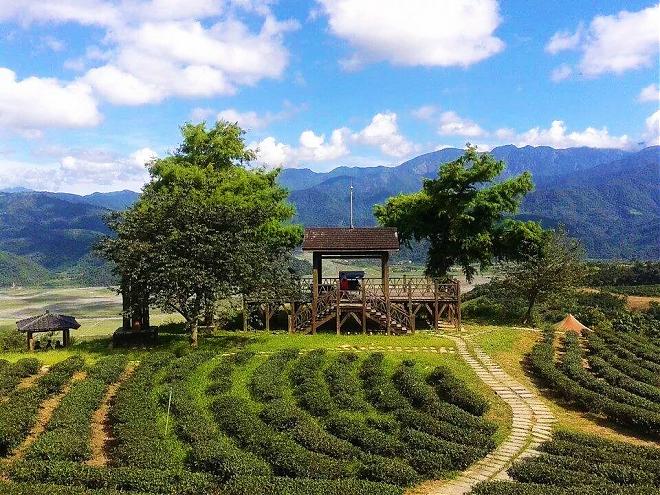 Yilan Qingshui Geothermal and Yulan Tea Garden Cherry Blossom Picnic Day Tour